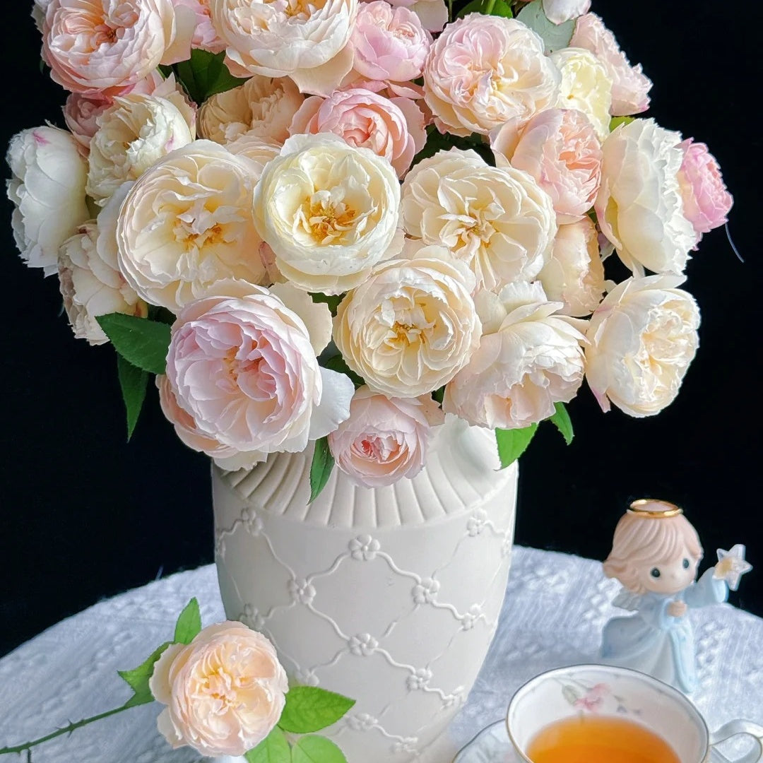 You Qing (Chinese Rose)