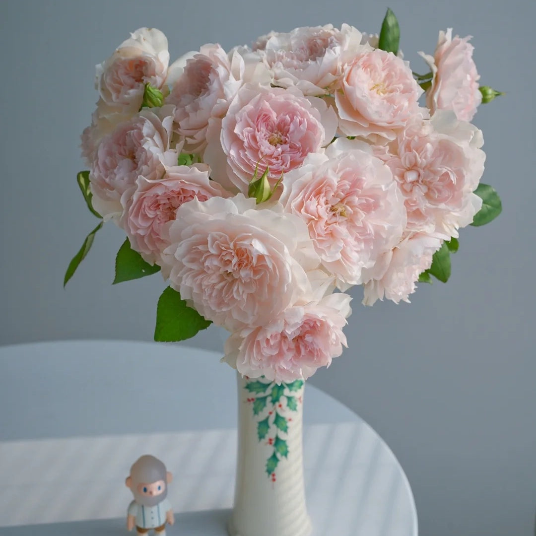 Jia Shu "Letter from Home" (Chinese Rose)