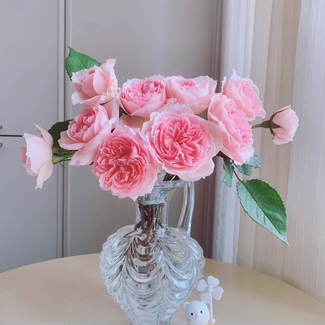 Princess Hitomi (Japanese Rose)