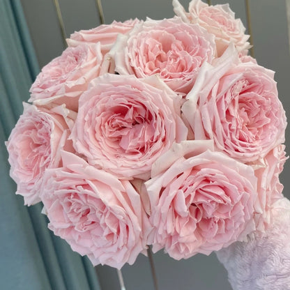 Princess Hitomi (Japanese Rose)