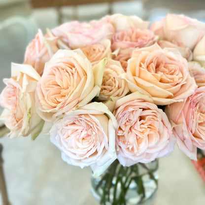 Princess Maya (Japanese Rose)