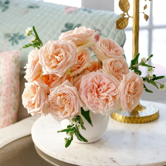 Princess Maya (Japanese Rose)